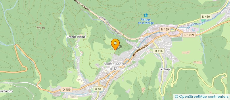 localisation de l'entreprise MONSIEUR CYRIL HENRY  SAINTE-MARIE-AUX-MINES