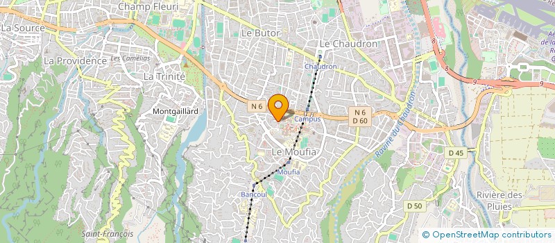 localisation de l'entreprise MONSIEUR CYRIL LEBOIS  SAINT-DENIS