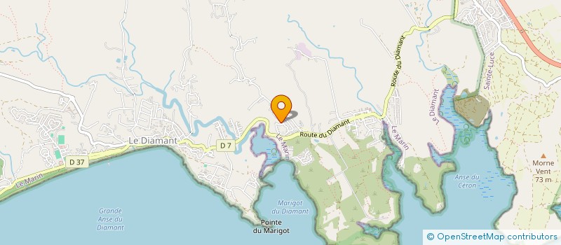 localisation de l'entreprise MONSIEUR CYRIL MICHEL MAURICE JOURDAIN  LE DIAMANT