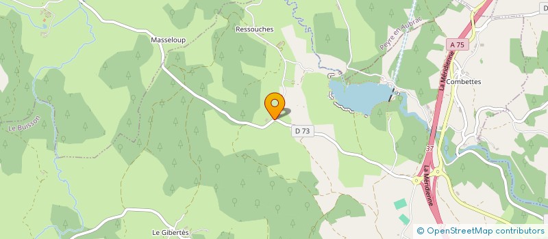 localisation de l'entreprise MONSIEUR CYRIL POUDEVIGNE  LE BUISSON