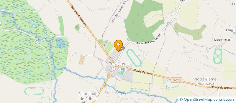 localisation de l'entreprise MONSIEUR CYRIL RAUSCH  MEZIDON VALLEE D'AUGE