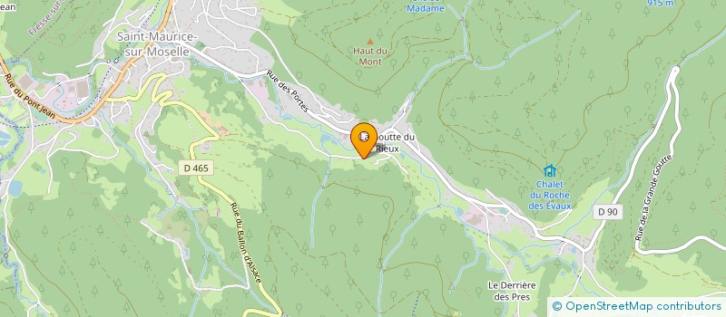 localisation de l'entreprise MONSIEUR CYRIL ROUILLON  SAINT-MAURICE-SUR-MOSELLE