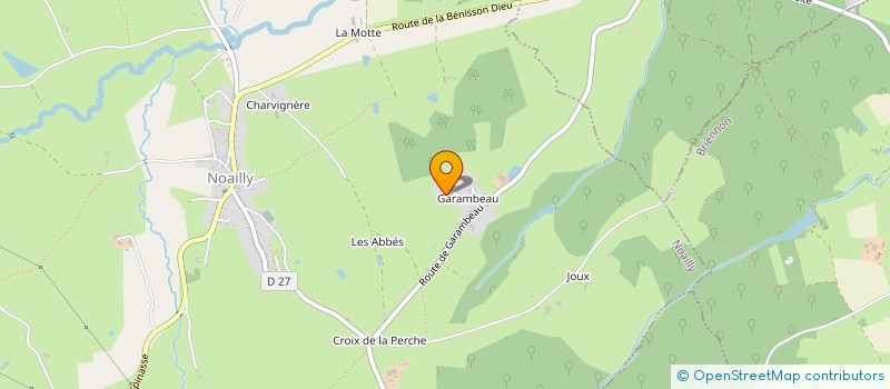 localisation de l'entreprise MONSIEUR CYRIL THOMAS  ROANNE