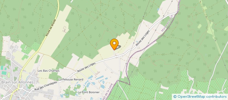 localisation de l'entreprise MONSIEUR CYRILLE COUINEAU  BRAIN-SUR-ALLONNES