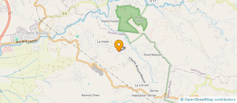 localisation de l'entreprise MONSIEUR CYRILLE FRANCOIS  RIVIERE-SALEE