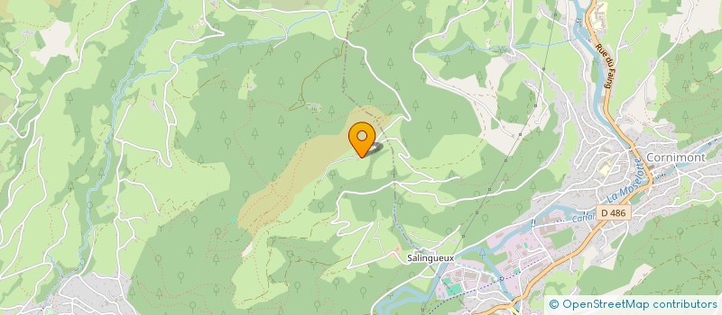 localisation de l'entreprise MONSIEUR D TRUTET  SAULXURES-SUR-MOSELOTTE