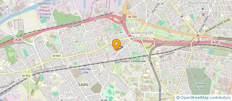 localisation de l'entreprise MONSIEUR DADY MIMI - OZIGRE à LILLE