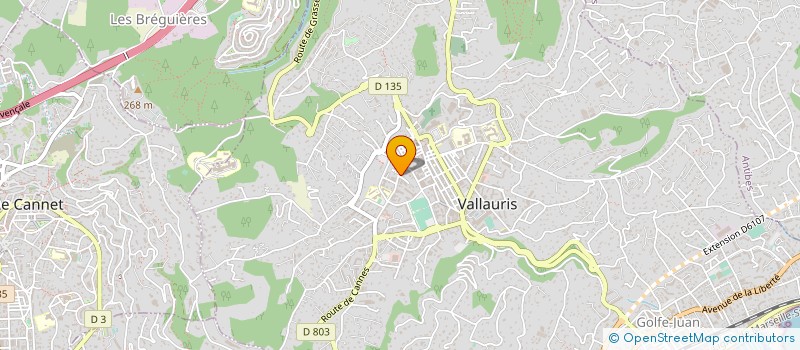 localisation de l'entreprise MONSIEUR DALE DOROSH à VALLAURIS