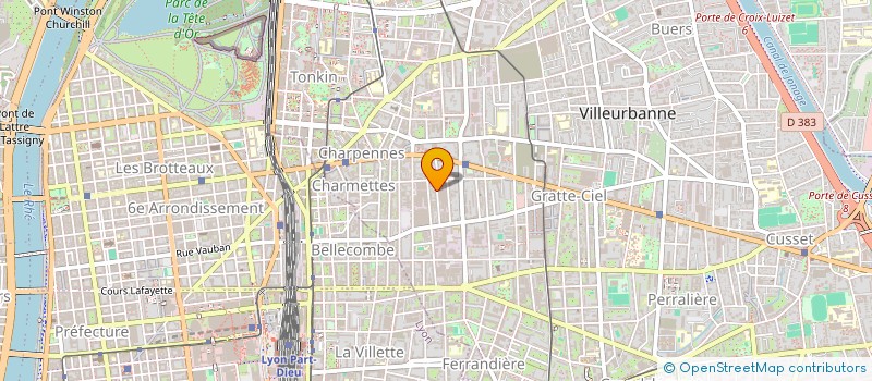 localisation de l'entreprise MONSIEUR DALIAN RANID  VILLEURBANNE