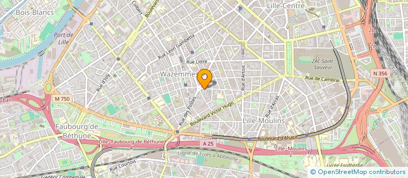 localisation de l'entreprise MONSIEUR DALIL HASSANI à LILLE