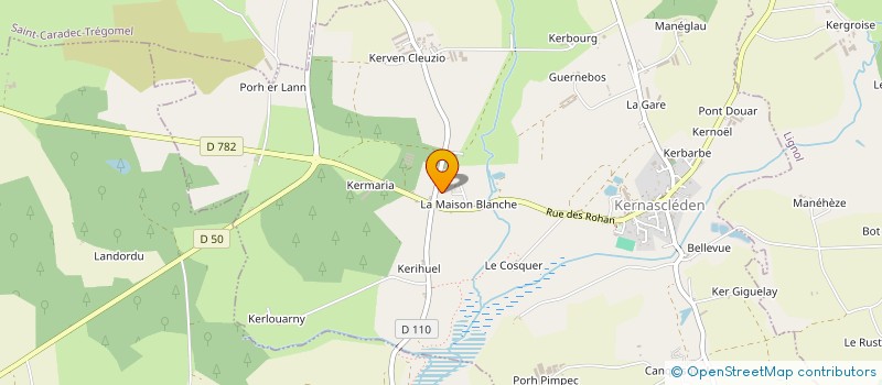 localisation de l'entreprise MONSIEUR DALYAL COPIN  KERNASCLEDEN