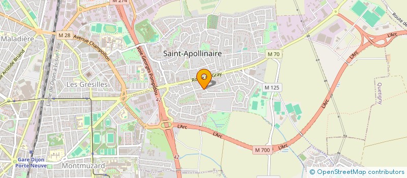 localisation de l'entreprise MONSIEUR DAMIANO FONTANA  SAINT-APOLLINAIRE