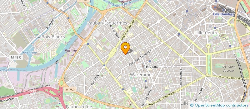 localisation de l'entreprise MONSIEUR DAMIE NICOLAS à LILLE