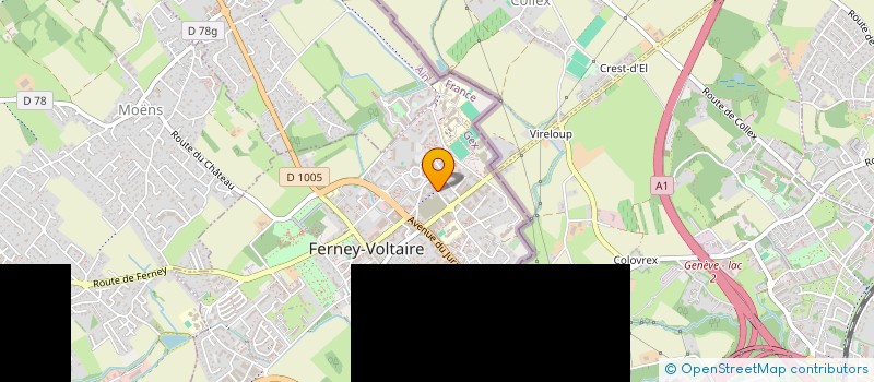 localisation de l'entreprise MONSIEUR DAMIEN BAYLE à FERNEY-VOLTAIRE