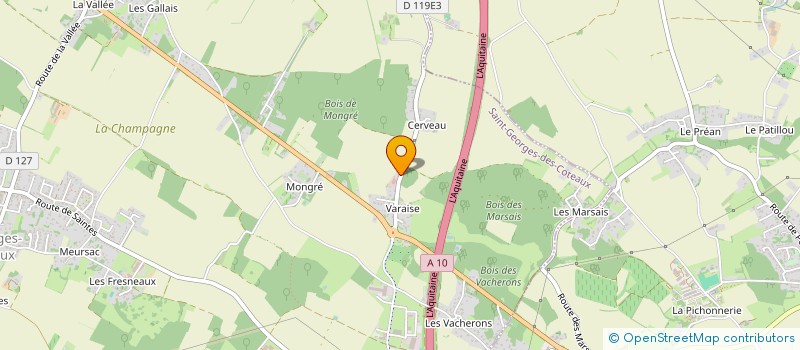 localisation de l'entreprise MONSIEUR DAMIEN BILLONNEAU  SAINT-GEORGES-DES-COTEAUX