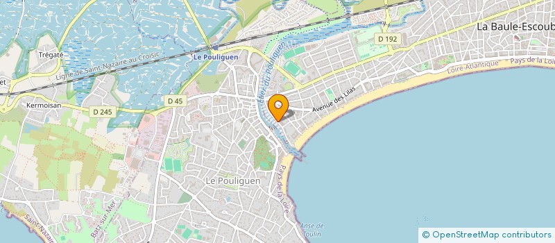 localisation de l'entreprise MONSIEUR DAMIEN BOURNEIX à LA BAULE-ESCOUBLAC