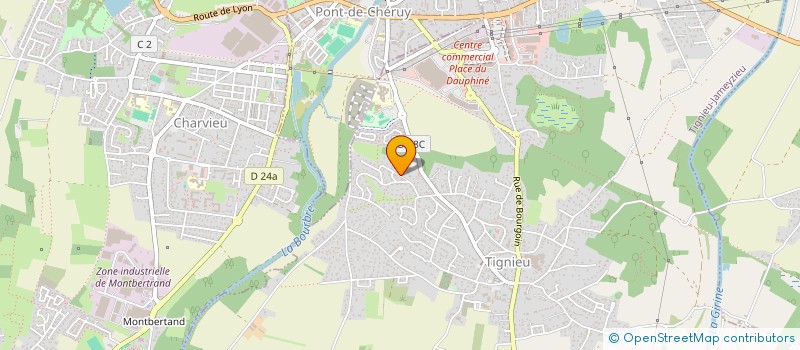 localisation de l'entreprise MONSIEUR DAMIEN CATTI à TIGNIEU-JAMEYZIEU