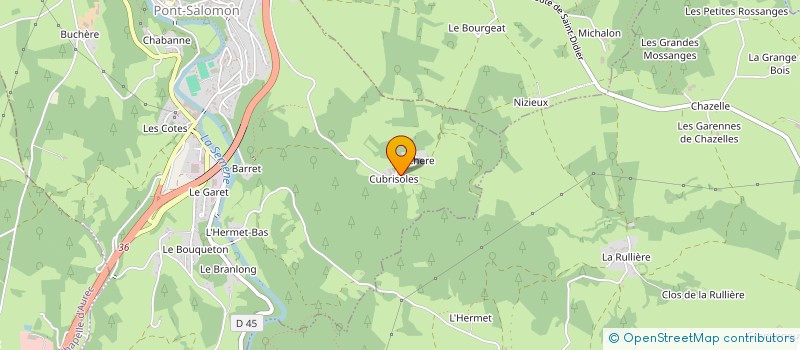 localisation de l'entreprise MONSIEUR DAMIEN CHAZALET  PONT-SALOMON