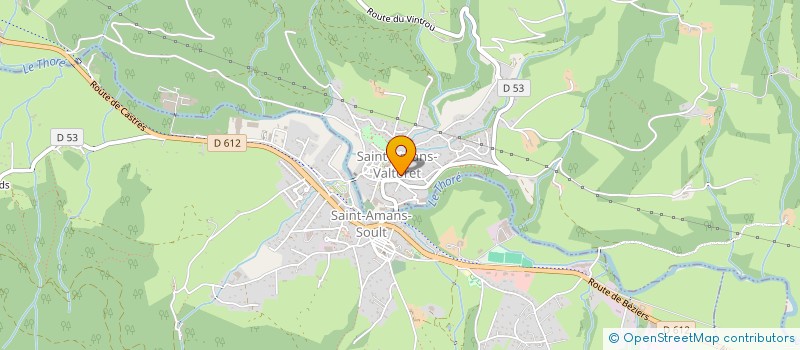 localisation de l'entreprise MONSIEUR DAMIEN COULON  SAINT-AMANS-VALTORET