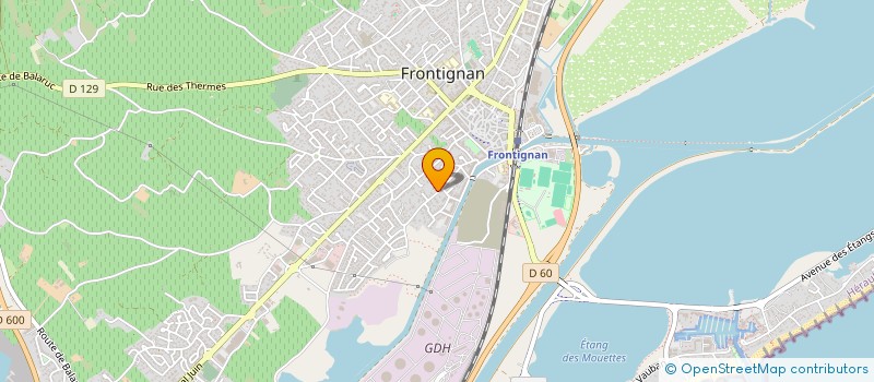 localisation de l'entreprise MONSIEUR DAMIEN DELORME à FRONTIGNAN