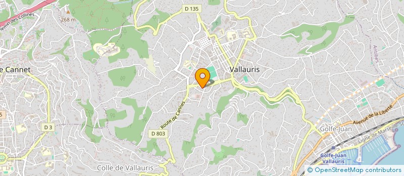 localisation de l'entreprise MONSIEUR DAMIEN DIAT  VALLAURIS