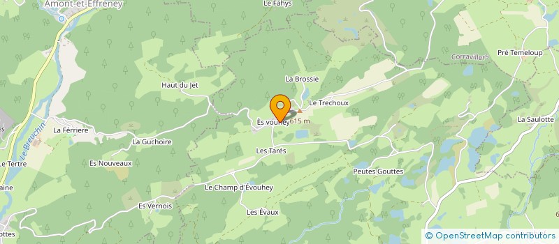localisation de l'entreprise MONSIEUR DAMIEN DUCHANOIS à ESMOULIERES