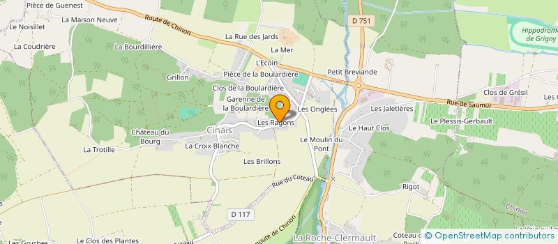 localisation de l'entreprise MONSIEUR DAMIEN DUFOUR à CHINON