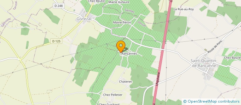 localisation de l'entreprise MONSIEUR DAMIEN FAURE à SAINT-QUANTIN-DE-RANCANNE