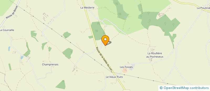 localisation de l'entreprise MONSIEUR DAMIEN FOSSE  SAVIGNY-SUR-BRAYE