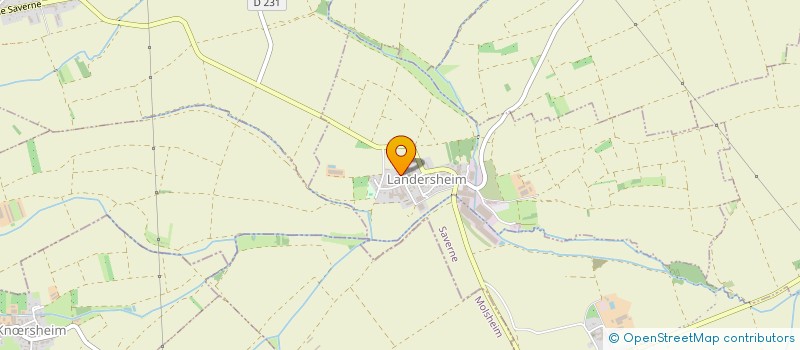 localisation de l'entreprise MONSIEUR DAMIEN FRINTZ  LANDERSHEIM