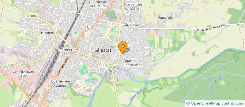 localisation de l'entreprise MONSIEUR DAMIEN FRITZ  SELESTAT