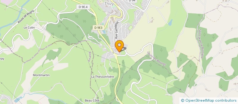 localisation de l'entreprise MONSIEUR DAMIEN GARNERIN  THIZY-LES-BOURGS