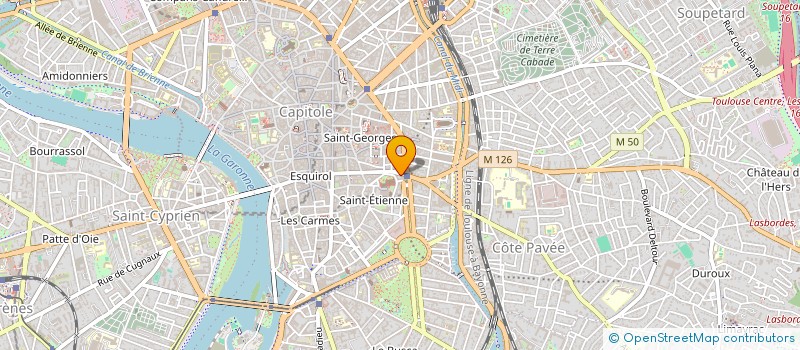 localisation de l'entreprise MONSIEUR DAMIEN GARRIGUES à TOULOUSE