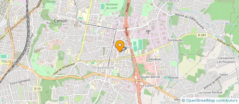 localisation de l'entreprise MONSIEUR DAMIEN GONZALEZ  CENON