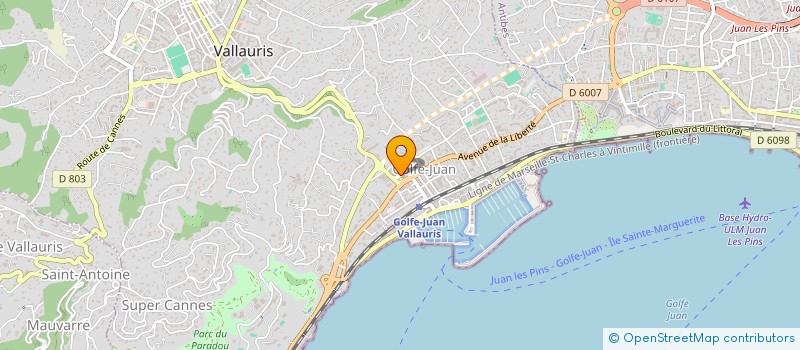 localisation de l'entreprise MONSIEUR DAMIEN GRAILLE  VALLAURIS