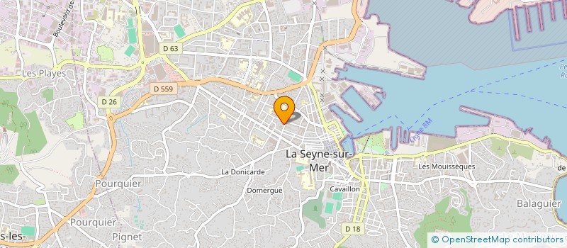 localisation de l'entreprise MONSIEUR DAMIEN GUETTAOUI  LA SEYNE-SUR-MER