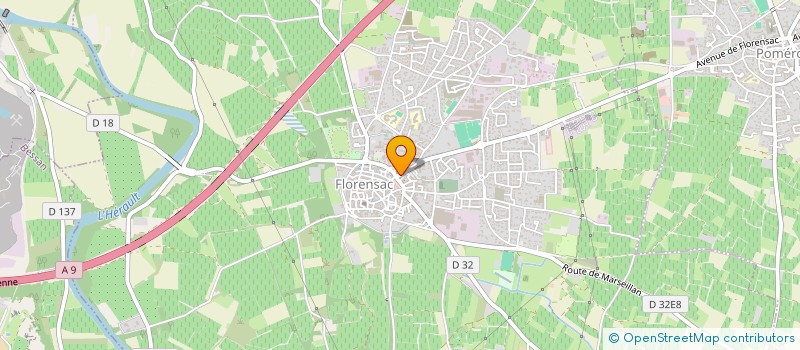 localisation de l'entreprise MONSIEUR DAMIEN GUICHARD  FLORENSAC