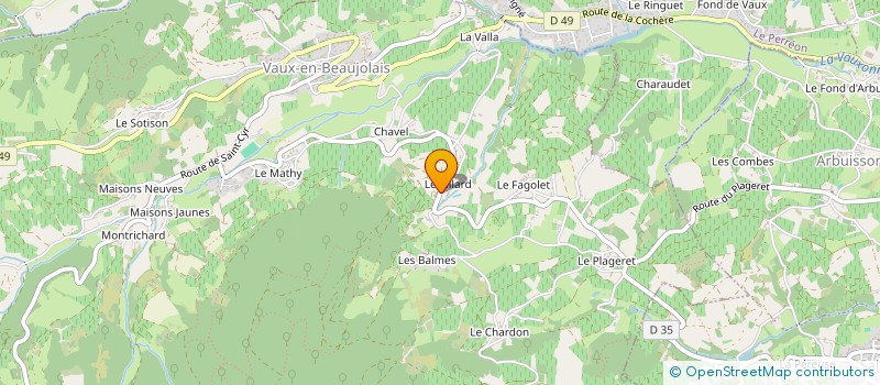 localisation de l'entreprise MONSIEUR DAMIEN LANGLOIS  VAUX-EN-BEAUJOLAIS