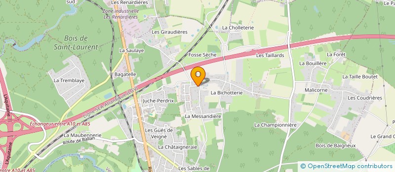 localisation de l'entreprise MONSIEUR DAMIEN LAROCHE  VEIGNE