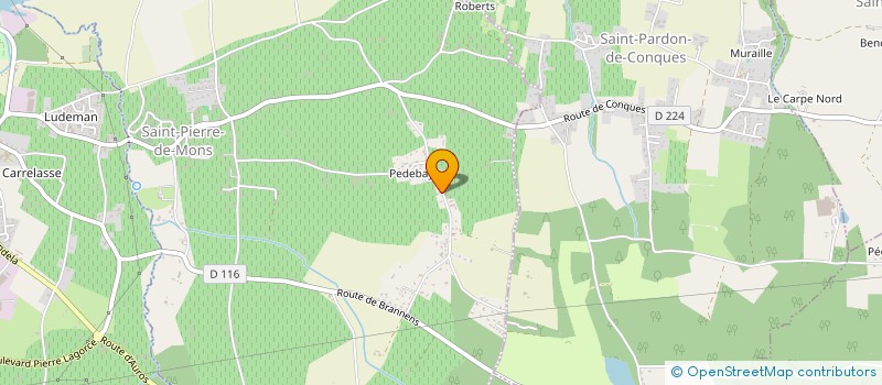 localisation de l'entreprise MONSIEUR DAMIEN LASSERRE  SAINT-PIERRE-DE-MONS