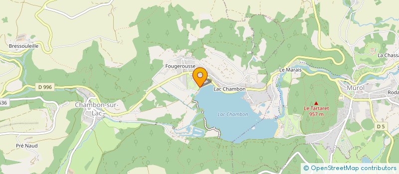 localisation de l'entreprise MONSIEUR DAMIEN LEOTY  CHAMBON-SUR-LAC