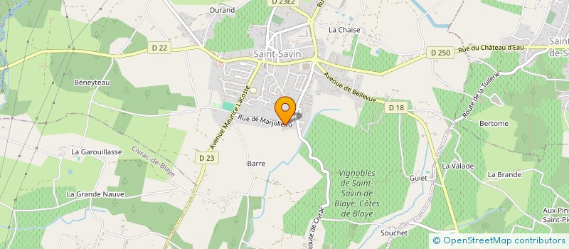 localisation de l'entreprise MONSIEUR DAMIEN MIODINI  SAINT-SAVIN