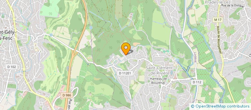 localisation de l'entreprise MONSIEUR DAMIEN NUSS  SAINT-CLEMENT-DE-RIVIERE