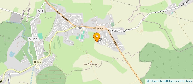 localisation de l'entreprise MONSIEUR DAMIEN RAMOELINTSALAMA  TRIEUX