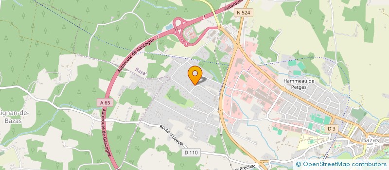 localisation de l'entreprise MONSIEUR DAMIEN RIBLER  BAZAS