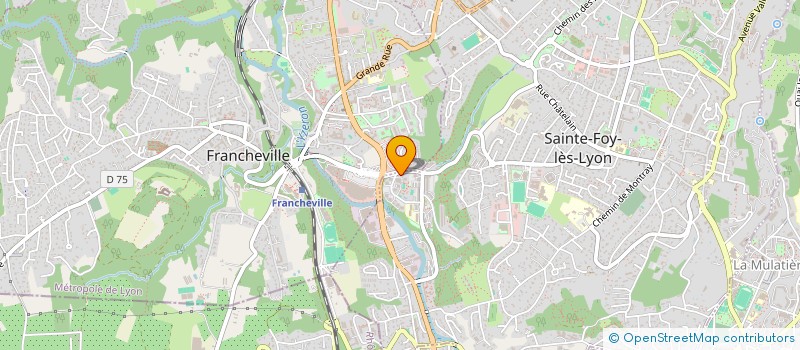 localisation de l'entreprise MONSIEUR DAMIEN RICHARD  SAINTE-FOY-LES-LYON