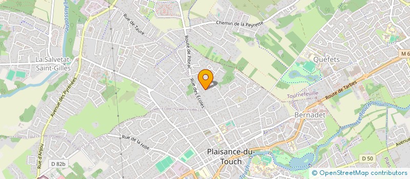 localisation de l'entreprise MONSIEUR DAMIEN RINGENBACH  PLAISANCE-DU-TOUCH