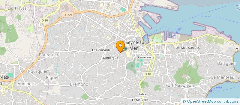 localisation de l'entreprise MONSIEUR DAMIEN RIVERA à LA SEYNE-SUR-MER