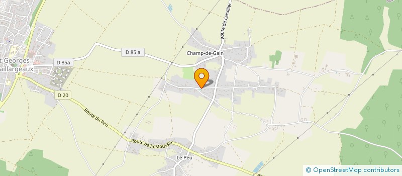 localisation de l'entreprise MONSIEUR DAMIEN ROUHAULT  SAINT-GEORGES-LES-BAILLARGEAUX