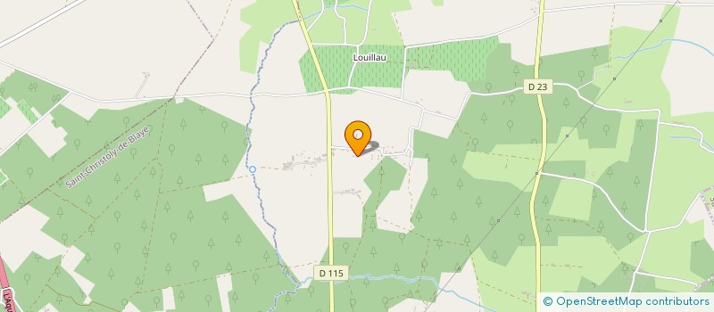 localisation de l'entreprise MONSIEUR DAMIEN SALE  SAINT-SAVIN